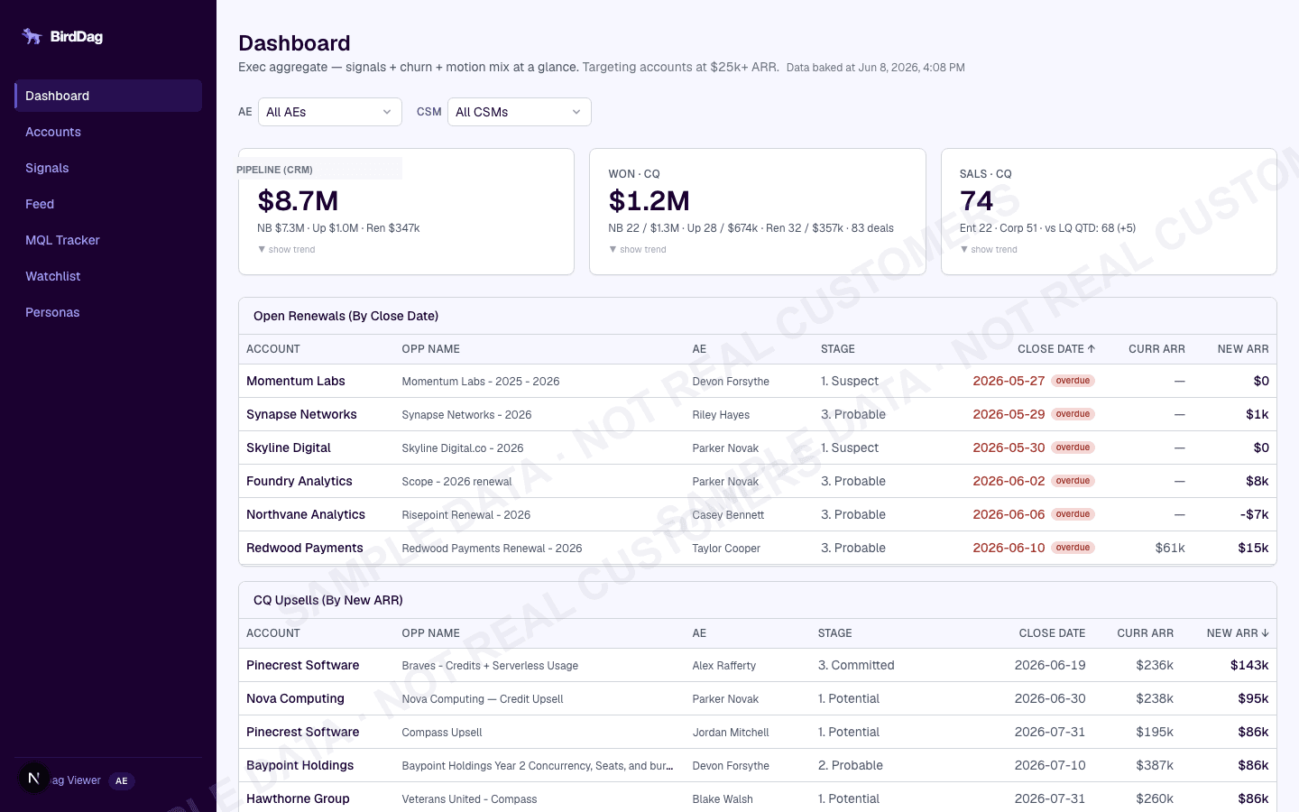 Bird Dag revenue intelligence dashboard with anonymized sample data